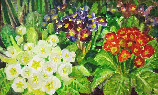 Primula37x60cm - 2002