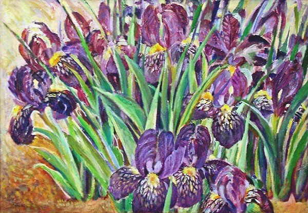 Dwarf irises48x69cm - 2002